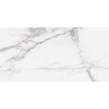 Керамогранит Ragno Marazzi (Рагно Марази) Inc Statuario Venato Gl Rt 60x120 см, 00R8RU03