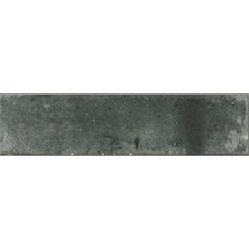 Керамогранит Ragno Marazzi Look Avio Glossy 240x60 мм