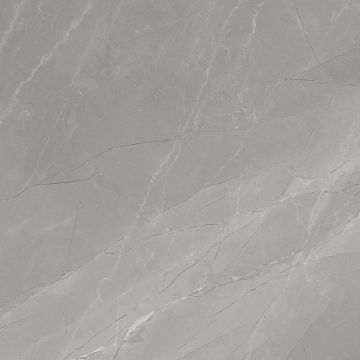 Керамогранит Gravita Myas grey 60x60 см ректиф.Matt (78801653)