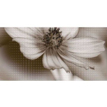 Декор Belleza (Беллеза) стеклянный Gold Morming В бежевый 20х40 см