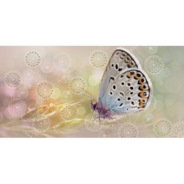 Декор Belleza (Беллеза) Мечта песочный Бабочка 20х40 см (04-01-1-08-05-23-371-1)
