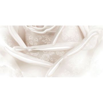 Декор Belleza (Беллеза) Нежность бежевый В 25х50 см (04-01-1-10-05-11-350-2)