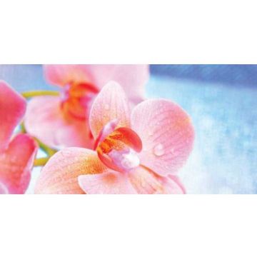 Декор Belleza (Беллеза) стеклянный Chloe многоцветный А 25х50 см