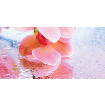 Декор Belleza (Беллеза) стеклянный Chloe многоцветный В 25х50 см