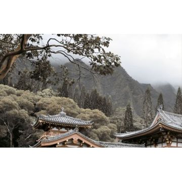 Декор Golden Tile (Голден Тайл) 1 Бамбук бежевый 25х40 см (Н71311)