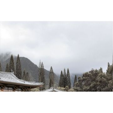 Декор Golden Tile (Голден Тайл) 3 Бамбук бежевый 25х40 см (Н71331)