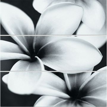 Спецэлемент Meissen (Мейсен) Pret-a-Porter стеклянный Universal Glass Flowers 75x75 см (UG2U093D)