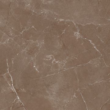 Керамогранит Azario (Азарио) Essens Choco High Glossy 60х60 см, глянцевый (E112082160HG)