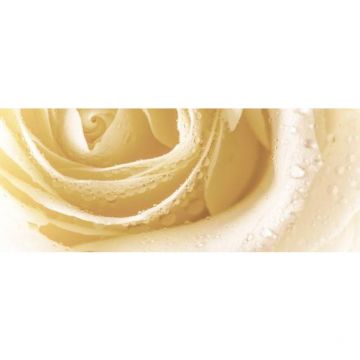 Декор Cerrol Syntia Rose 3 20х50 см