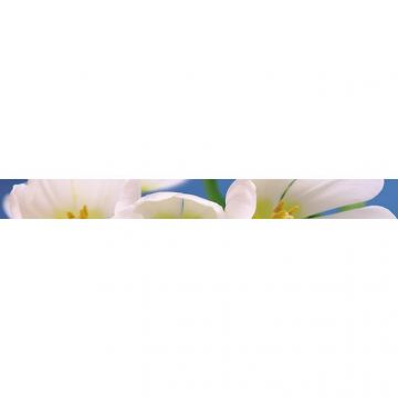 Бордюр Cerrol Blue garden 6х60 см
