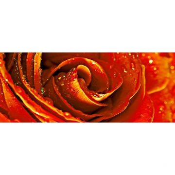Декор Cerrol Syntia Rose 1 20х50 см