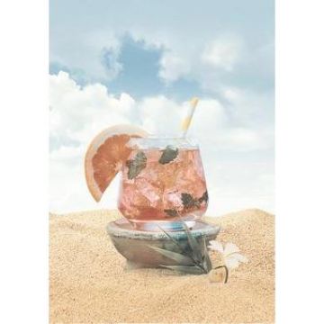 Декор Дельта Керамика (Delta Ceramica) Cocktail D2 D2D140 20х30 см