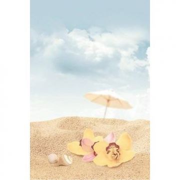 Декор Дельта Керамика (Delta Ceramica) Cocktail D3 D3D140 20х30 см