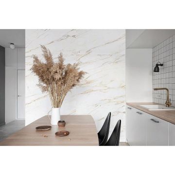 Керамогранит Prime Ceramics (Прайм Керамикс) Callacata Amber 120х60х0,95 см Ректификат Матовый, GRP12060CL-WA