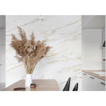 Керамогранит Prime Ceramics (Прайм Керамикс) Callacata Silver 60х60х0,95 см Ректификат Матовый, GRP6060CL-WS