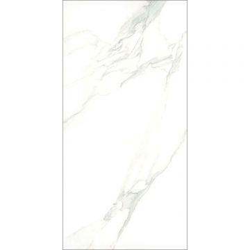 Керамогранит Eurotile Amina Calacatta 60х120 см (717 ANI1WT)