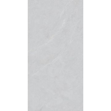 Керамогранит Basconi Home (Баскони Хоме) Cateye Light Grey 60x120x1 см grains soft-polished mould (BHW-0023)