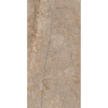 Керамогранит глазурованный Cersanit (Церсанит) Silver Roots Серый ректификат 60х120 см A17056