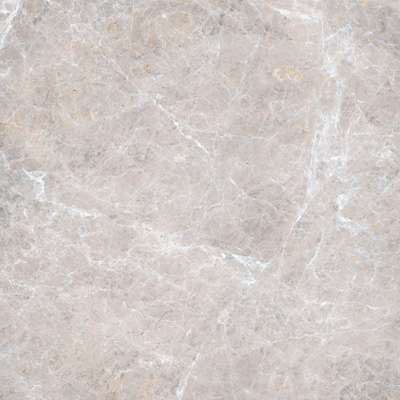 Керамогранит Italon (Италон) Elite Элит Силвер Грэй 60х60 см, толщ. 1 см (610010000530)