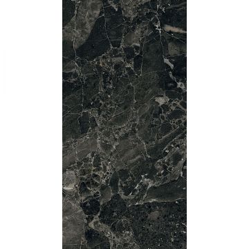 Керамогранит Kerama Marazzi (Керама Марацци) Парнас антрацит лаппатированный 40х80 см (SG809702R)