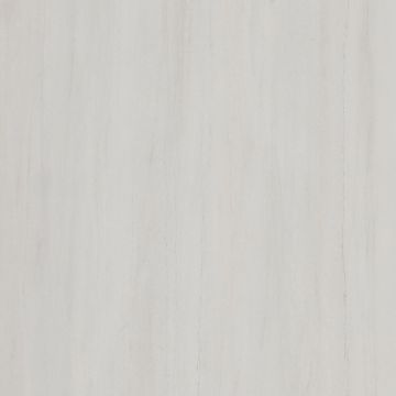 Керамогранит Kerama Marazzi (Керама Марацци) Белем серый светлый натуральный обрезной SG647300R 60х60 см