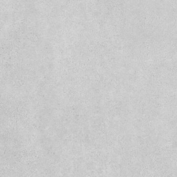 Керамогранит Kerama Marazzi (Керама Марацци) Безана Серый Светлый Обрезной 50,2х50,2 см (SG457920R)