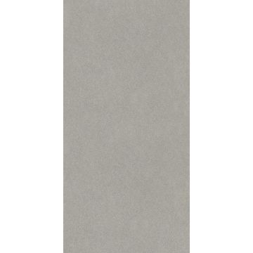 Керамогранит Kerama Marazzi (Керама Марацци) Джиминьяно Серый Матовый Обрезной 60х119,5 см (DD519320R)