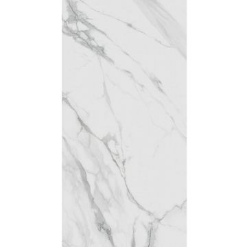 Керамогранит Kerama Marazzi (Керама Марацци) Монте Тиберио Лаппатир Обрезной 60х119,5 см (SG507122R)