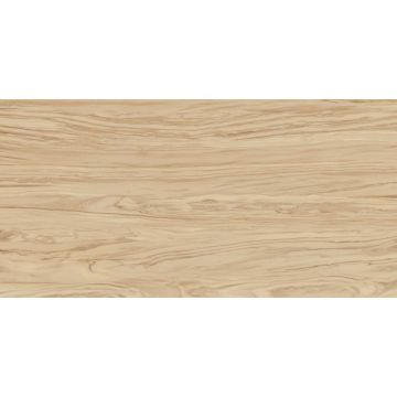 Керамогранит Kerama Marazzi (Керама Марацци) Олива Бежевый Обрезной 60х119,5 см (SG565220R)