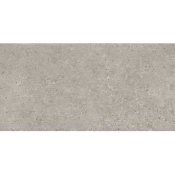 Керамогранит Kerama Marazzi (Керама Марацци) Риккарди Серый Светлый Матовый Обрезной 60х119,5 см (SG519920R)