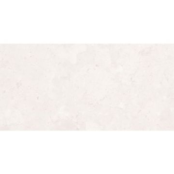 Керамогранит LB Ceramics (Lasselsberger Ceramics) Ниагара светло-серый 30х60 см 6260-0004