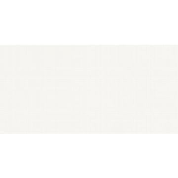 Керамогранит Lasselsberger (LB Ceramics) Гуннар белый 30х60.3 см (6260-0078)