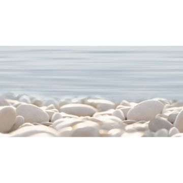 Декор Alma ceramica (Альма Керамика) Del Mare 24,9х50х0,75 см DWU09DLM604