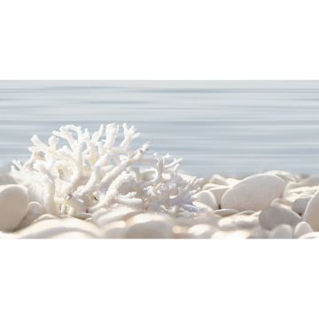 Декор Alma ceramica (Альма Керамика) Del Mare 24,9х50х0,75 см DWU09DLM624