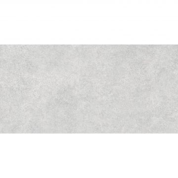 Керамогранит Alma Ceramica Amsterdam 570х1140х8.5 мм Сатинированный GFA114ADM07CR