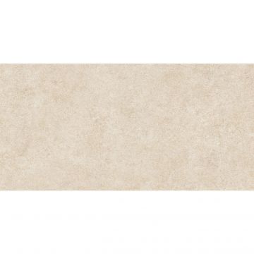 Керамогранит Alma Ceramica Amsterdam 570х1140х8.5 мм Сатинированный GFA114ADM40R