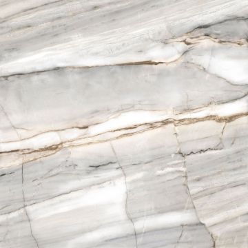 Керамогранит Alma Ceramica (Альма Керамика) Selection 57х57х0,85 см Лаппатированный GFA57SLC70L