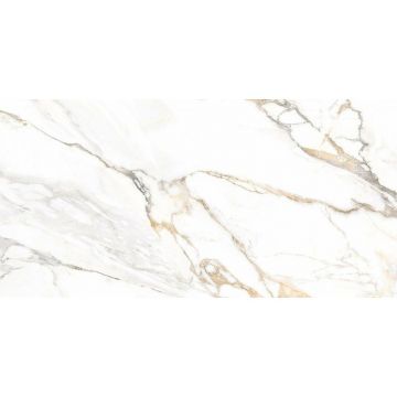 Керамогранит Alma Ceramica Trendy матовый 600х1200х8.5 мм GFU60120TRD04R
