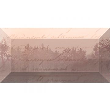 Бордюр Ceramica Classic (Керамика Классик) Classics рельефный br1020D199-1 20х10 см