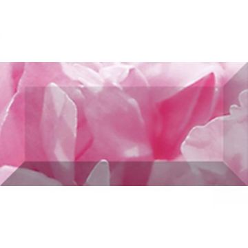Бордюр Ceramica Classic (Керамика Классик) Peony рельефный br1020D281-1 20х10 см