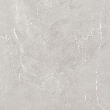 Керамогранит Laparet Scandy 60х60 см Светло-серый SG645120R