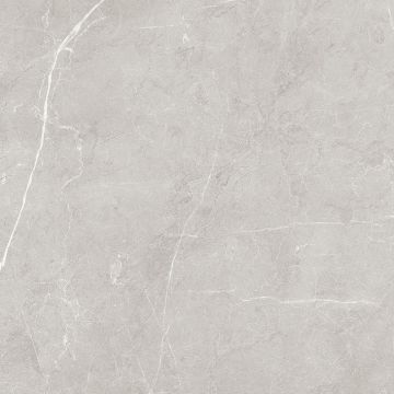 Керамогранит Laparet Scandy 60х60 см Светло-серый SG645120R
