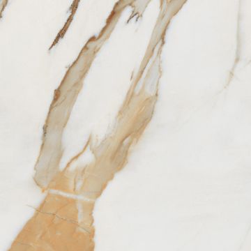 Керамогранит Laparet (Лапарет) Royal Statuario 60х60 см Полированный