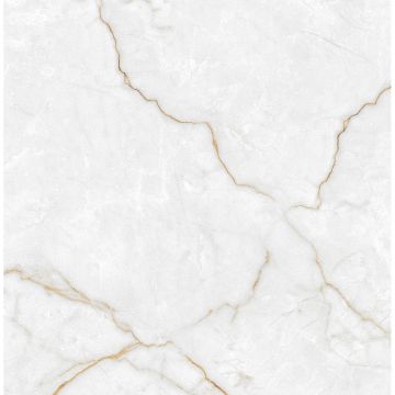 Керамогранит Laparet Torso Gold 60х60 см Полированный