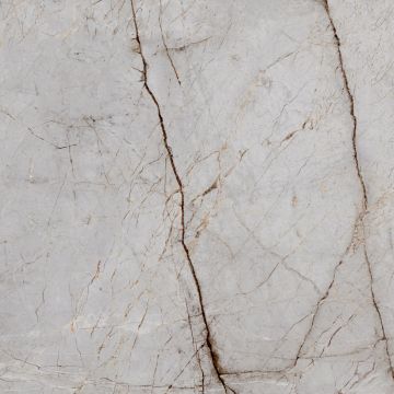 Керамогранит Laparet (Лапарет) Silver Root 60х60 см Полированный