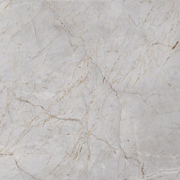 Керамогранит Laparet (Лапарет) Silver Root 60х60 см Полированный