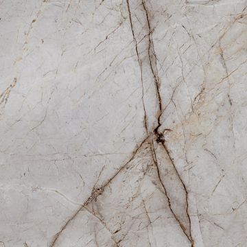 Керамогранит Laparet (Лапарет) Silver Root 60х60 см Полированный