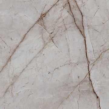 Керамогранит Laparet (Лапарет) Silver Root 60х60 см Полированный