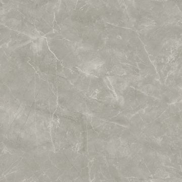 Керамогранит Laparet Wolf Grey 80х80 см Сатинированный