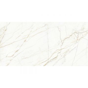 Керамогранит Laparet (Лапарет) Europa Gold l белый 60х120 см Матовый Карвинг